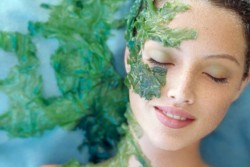 Vi tảo sáng da, mờ nám