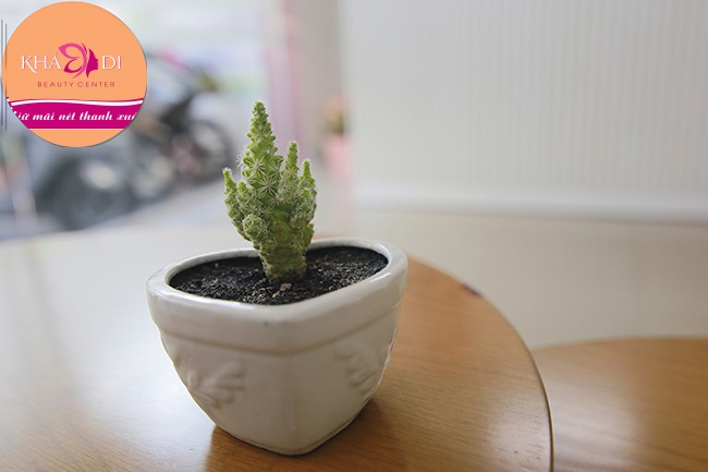 <p>Công nghệ ngày ngày tiên tiến, bắt kịp xu hướng quốc tế,&nbsp;<b>thẩm mỹ viện Khả Di tại TP. Nha Trang</b>&nbsp;đã và đang áp dụng những biện pháp cùng trang thiết bị hiện đại nhất để phục vụ tối ưu nhất nhu cầu làm đẹp của chị em phụ nữ, từ đó có thể tư vấn giúp họ làm đẹp an toàn và mang lại hiệu quả nhất định.</p>